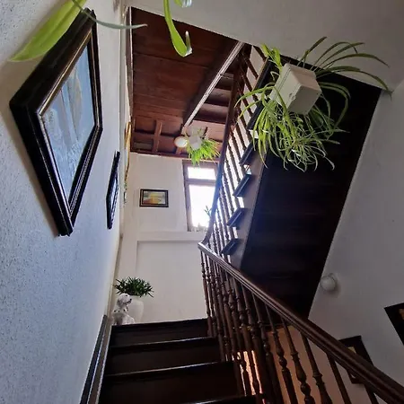 Winzervilla Apartament *