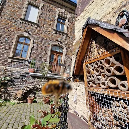 Apartmán Winzervilla *