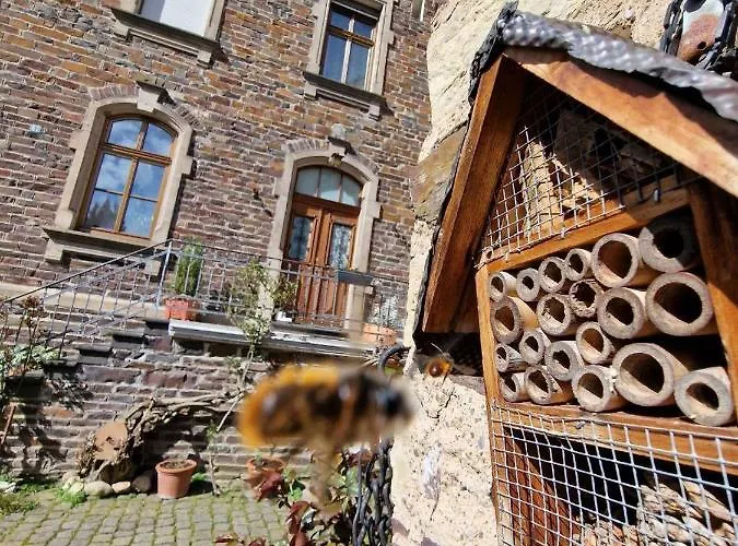 Апартаменты Winzervilla *